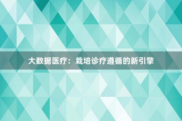 大数据医疗：栽培诊疗遵循的新引擎